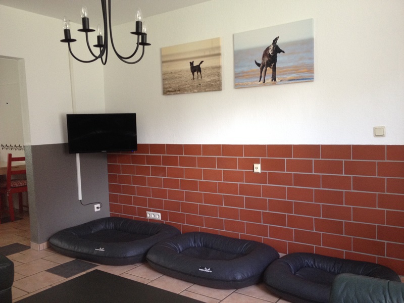 Hundebetten Haus 1
