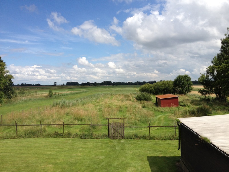 Garten Haus 3, dahinter die Hundewiese